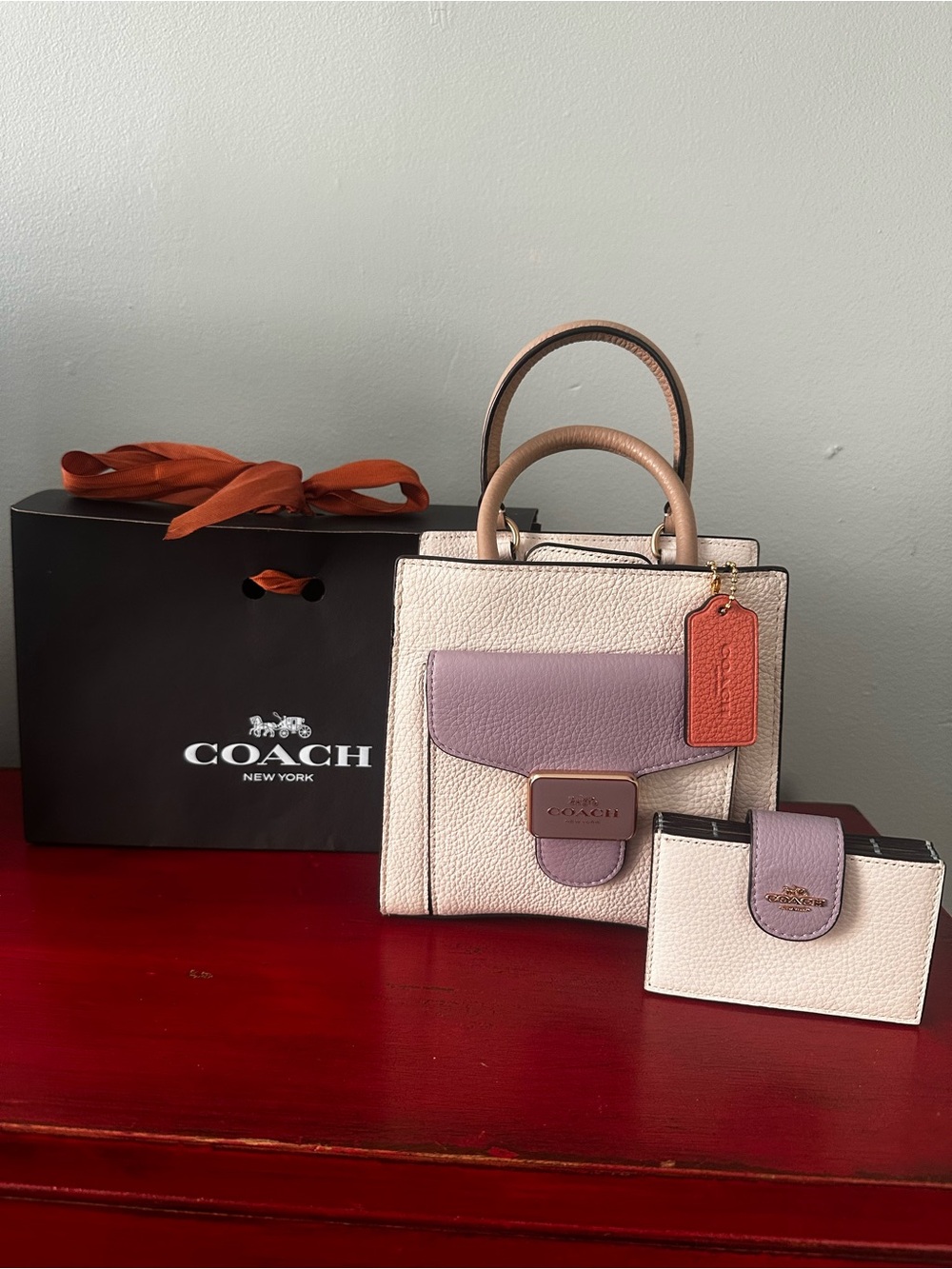Coach Mini Color block Leather Crossbody + Matching Wallet